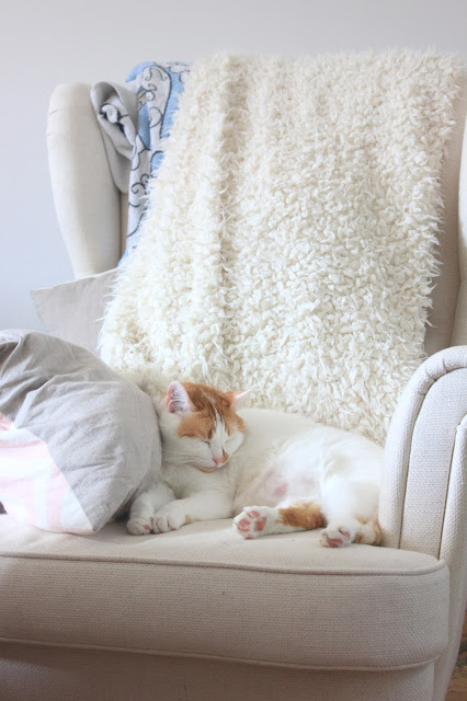 chat qui dort sur un fauteuil ikea