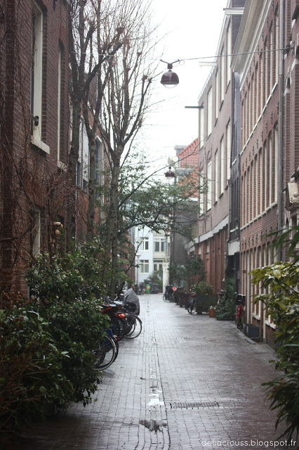Rue sous la pluie et le brouillard à Amsterdam